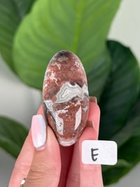 Image 5 of SMALL SANGRIA LACE AGATE SHIVAS