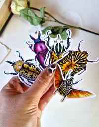 Image 2 of Insect Stickers Set of 5