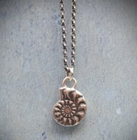 Image 5 of Ammonite Talisman – Handmade Sterling Silver Spiral Necklace, Symbol of Strength & Resilience