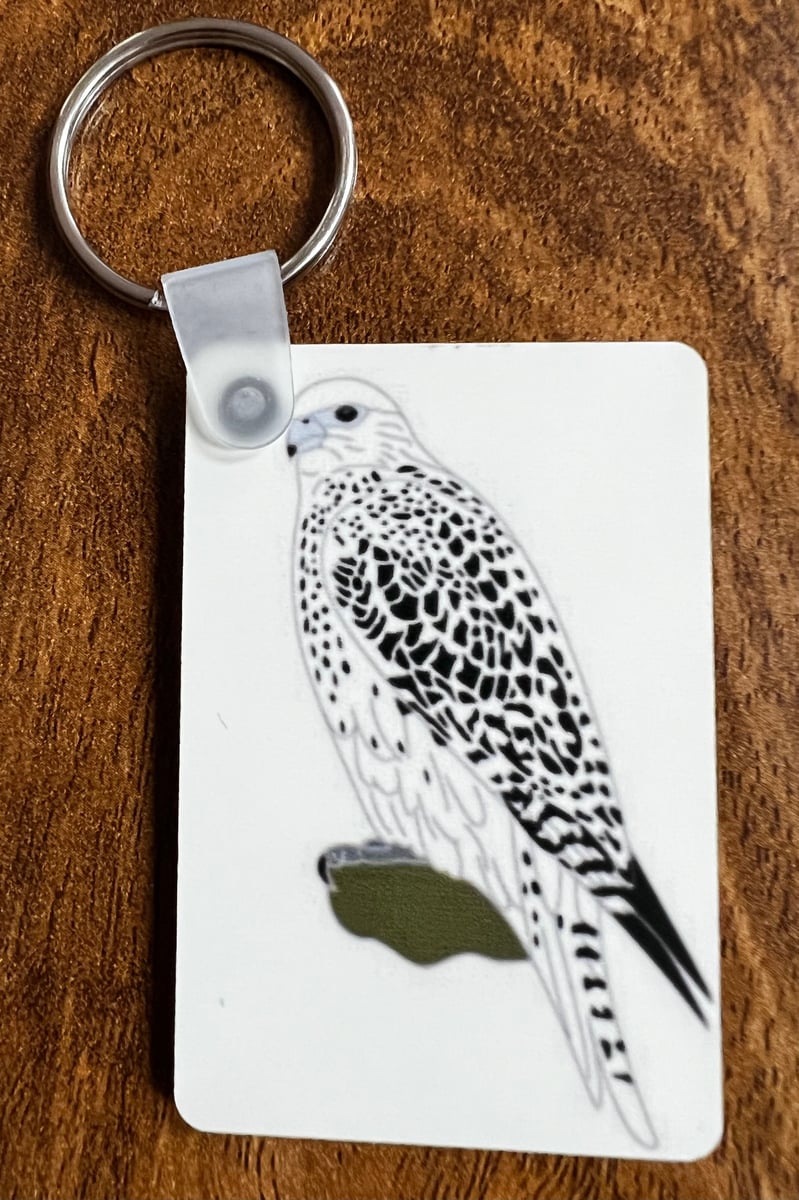 Gyr Falcon UK Birding Series UK Birding Pins