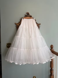 Image 2 of Medium Crinoline 