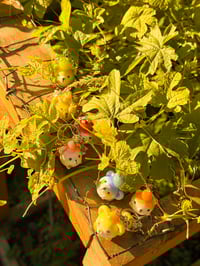 Image 3 of Fruit bears 