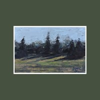 Image 1 of “Pines on a Rise”