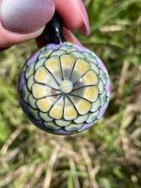 Image 4 of Lime Spring 