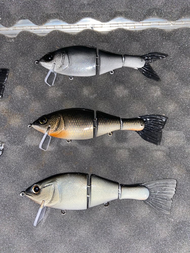 7” shiner profile  - Image 2