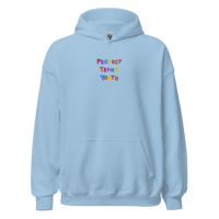 Image 4 of PROTECT TRANS YOUTH  - Embroidered Hoodie (multi coloured)