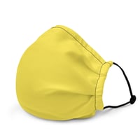 Image 1 of PARIS DAISY FACE MASK