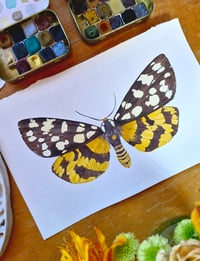 Image 3 of Arctia virginalis GOLDEN DUST COLLECTION ORIGINAL ARTWORK