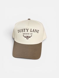 Image 1 of DLC baseball cap