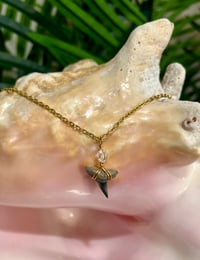 Image 1 of Shark Tooth Necklace ST112