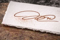 Image 4 of TRAPPER (25)