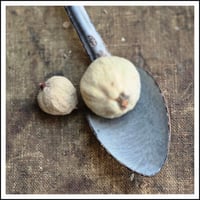 Image 2 of Enamel serving spoon