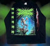 Image 4 of Esophagus (SS/LS)