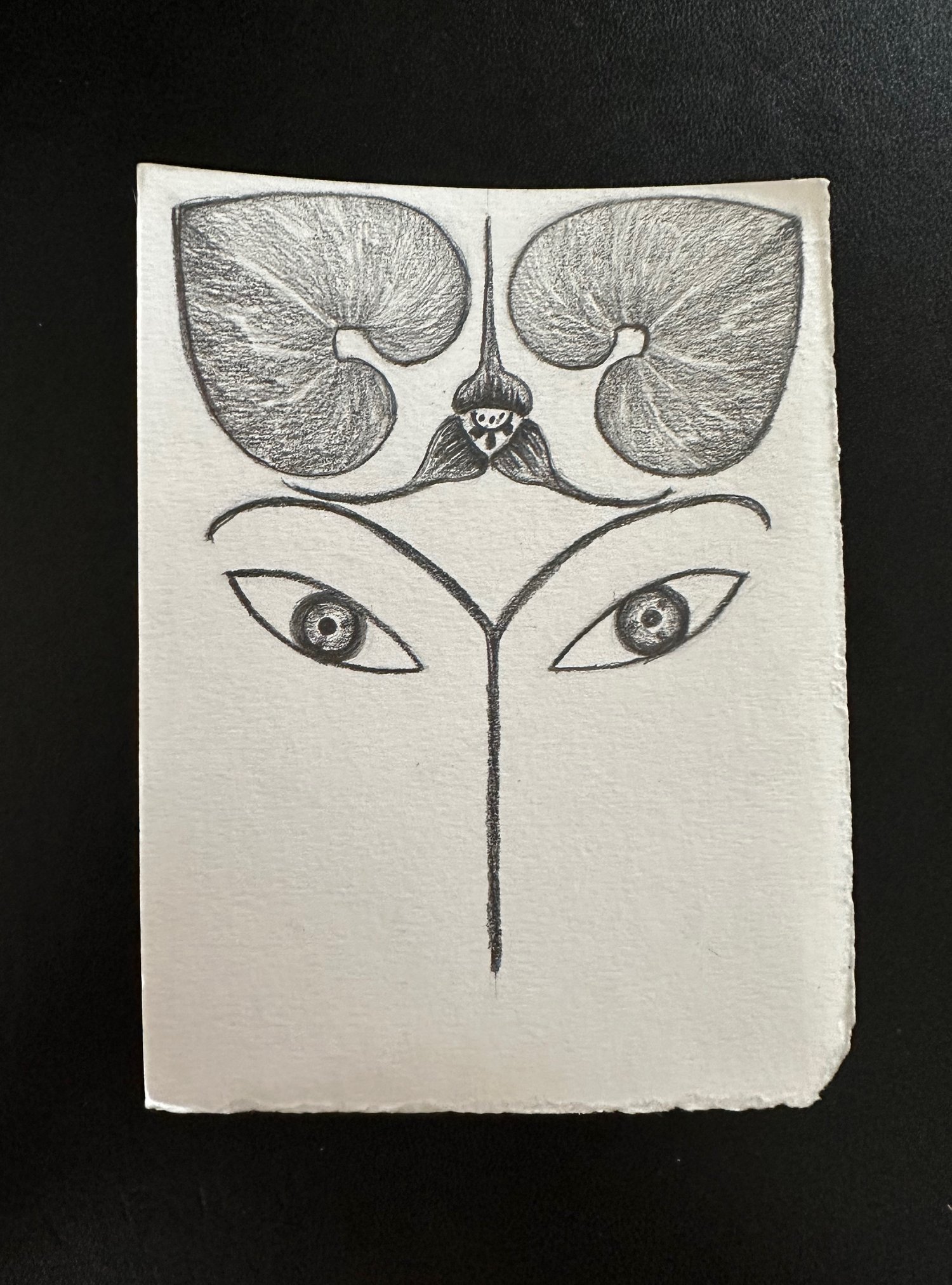 Image of Sensual World drawings :Redwood, Sorrel, Ginger