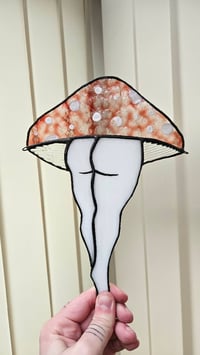 Image 3 of Mushroom bum 5