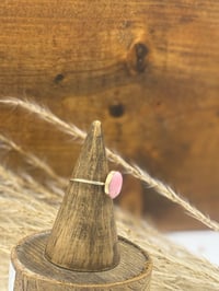 Image 3 of The Jilly