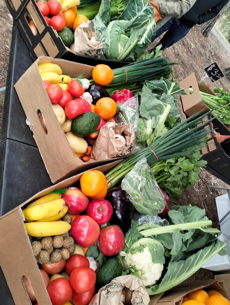 Image of Medium Produce Pack 