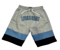 Image 1 of Livingstone “Alumni” Shorts 