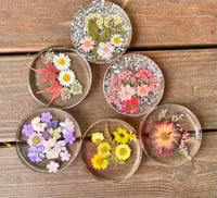 Image 1 of Resin Dried Pressed Flower Coaster