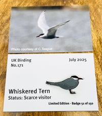 Image 1 of Whiskered Tern - No.171 - UK Birding Pins