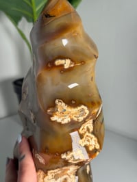 Image 13 of XXL MOODY CARNELIAN FLAME -MADAGASCAR-