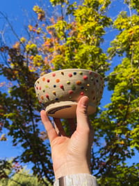 Image 1 of rainbow dot bowl