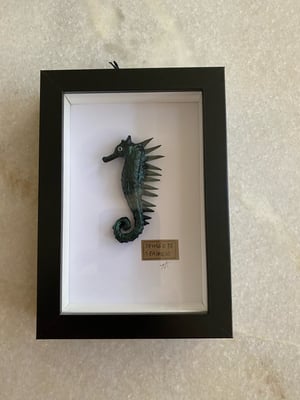 Image of Metallic black Spiked seahorse specimen frame. Faux taxidermy