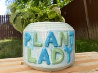 Image 3 of Vining Peperomia in PLANT LADY Pot