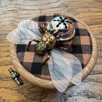 Image 4 of Bumbellbee (b, 3 inches)