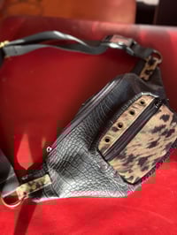 Image 3 of Leo Funny Pack