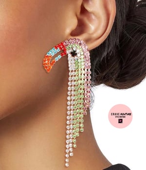 Image of Crave Toucan Earrings 
