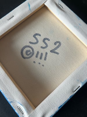 Image of SS2 canvas