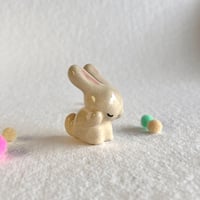 Image 2 of Bunny Washing #2