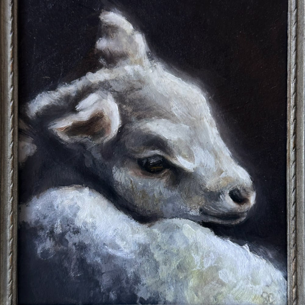 Image of lamb 