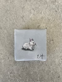 Image 2 of WEEKLY MICRO SERIES 