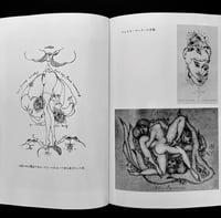 Image 8 of Pierre Molinier Japanese edition 1989