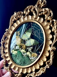 Image 1 of Green African Butterfly Botanical Frame