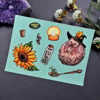 Image 1 of Hedgehog Witch Sticker Sheet