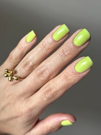Image 18 of Glisten & Glow  Just for the Halibut 