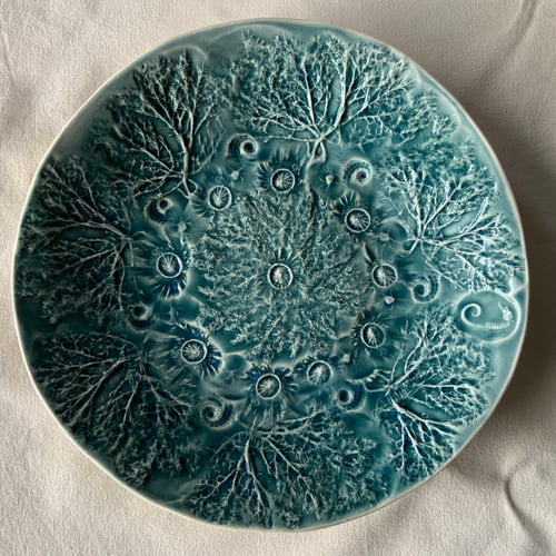 Image of Rockpool plates D