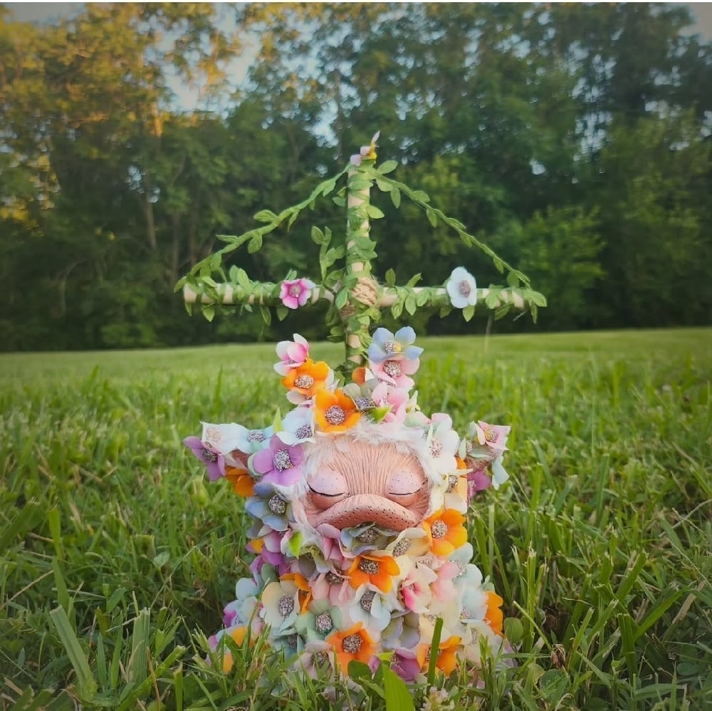 Image of Midsummer Dani MTO