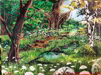 The Edge of the wood