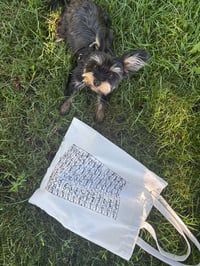 Image 3 of Totes for Gaza Soup Kitchen