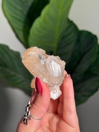 Image 3 of BOWTIE STILBITE X DIAMOND APOPHYLITE -INDIA- H