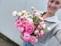 Image 1 of Ranunculus Corm - Specialty Cut Flower Varieties