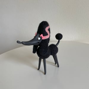 Image of Poodle in Black and Pink