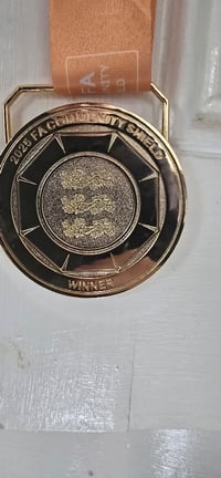 In STOCK ** FA COMMUNITY SHIELD MEDAL 2025