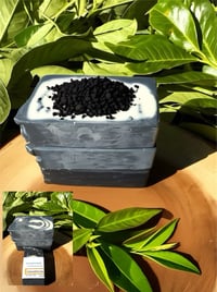 Image 1 of Charcoal & Tea Tree Bar Soap 