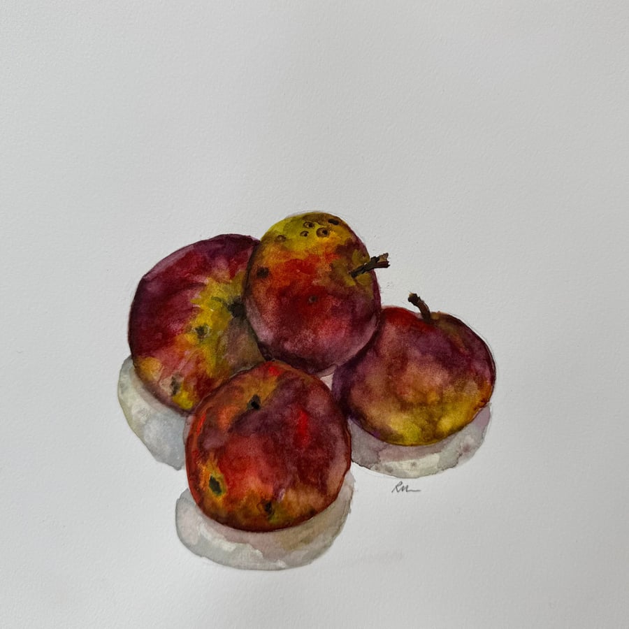 Image of Arkansas Black Apples III