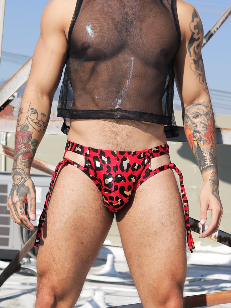 Image of THE RED-LIGHT RECKLESS BRIEF